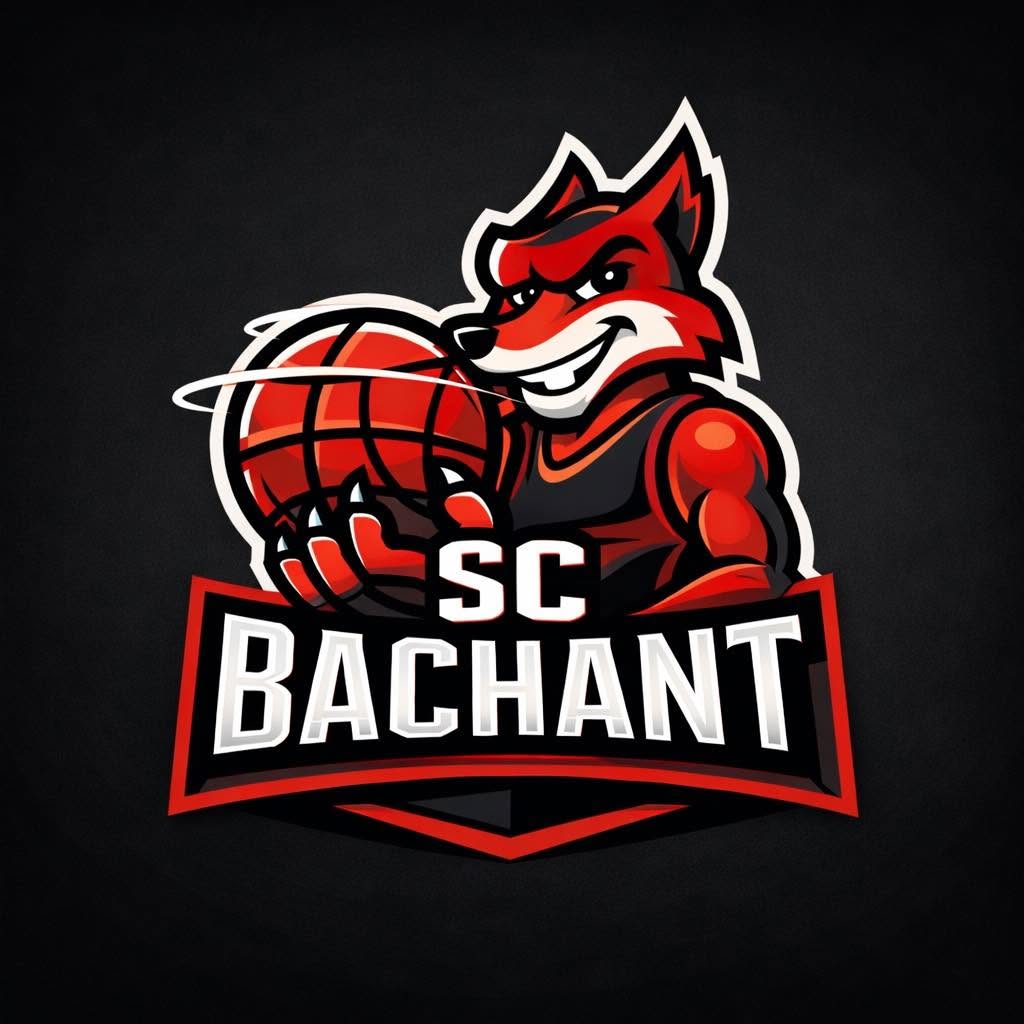 Logo officiel Bachant Basket